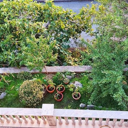 Apartment And Rooms Busa 3 سينج المظهر الخارجي الصورة